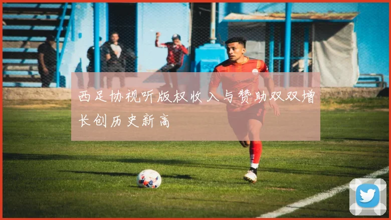 西足协视听版权收入与赞助双双增长创历史新高