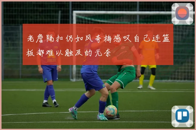 老詹隔扣仍如风夸梅感叹自己连篮板都难以触及的无奈