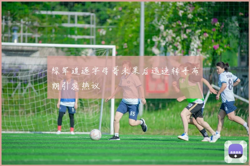 绿军追逐字母哥未果后迅速转手布朗引发热议